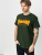 Thrasher T-shirt Flame