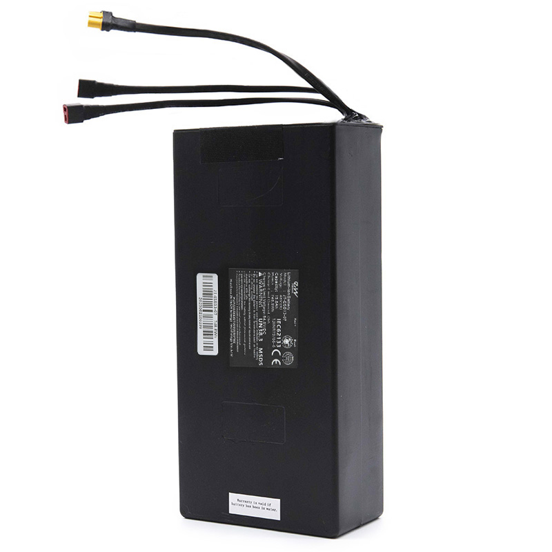 Electric Scooter battery 48V 19,2 Ah with original EVE cells